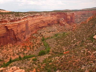 [More meandering greenery within the canyon. Fallen Rock is a huge chunk of canyon wall which seems to have slowly broken away from the wall and is sinking into the canyon floor.]